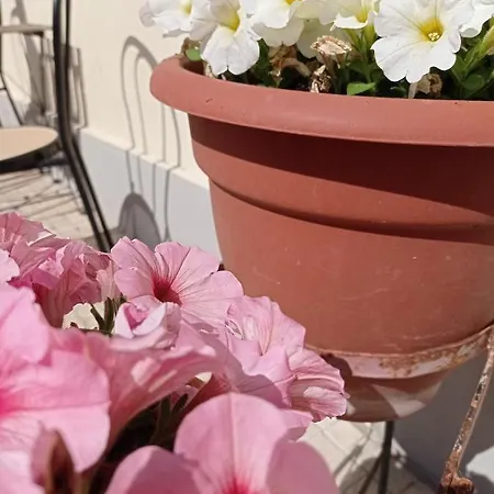 Toscana ベッド・アンド・ブレックファスト ピサ