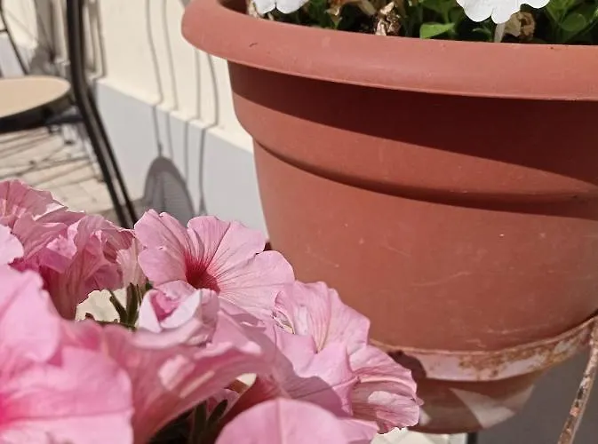 Toscana Bed & Breakfast Pisa